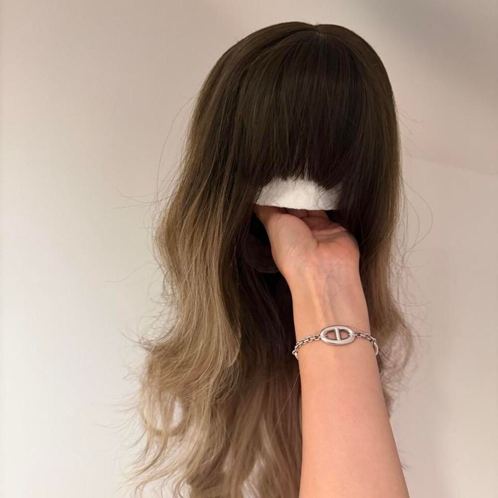 NWT Brown and Khaki Hair WIG